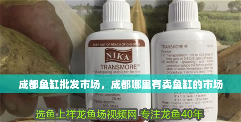 成都魚(yú)缸批發(fā)市場(chǎng)，成都哪里有賣(mài)魚(yú)缸的市場(chǎng)
