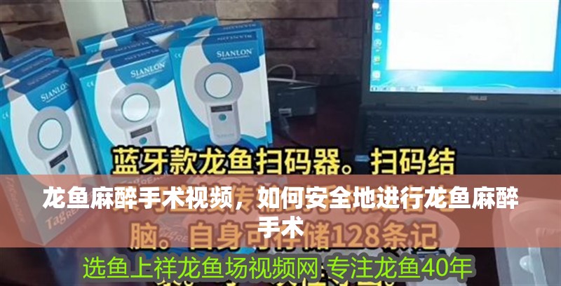 龍魚麻醉手術(shù)視頻，如何安全地進(jìn)行龍魚麻醉手術(shù)