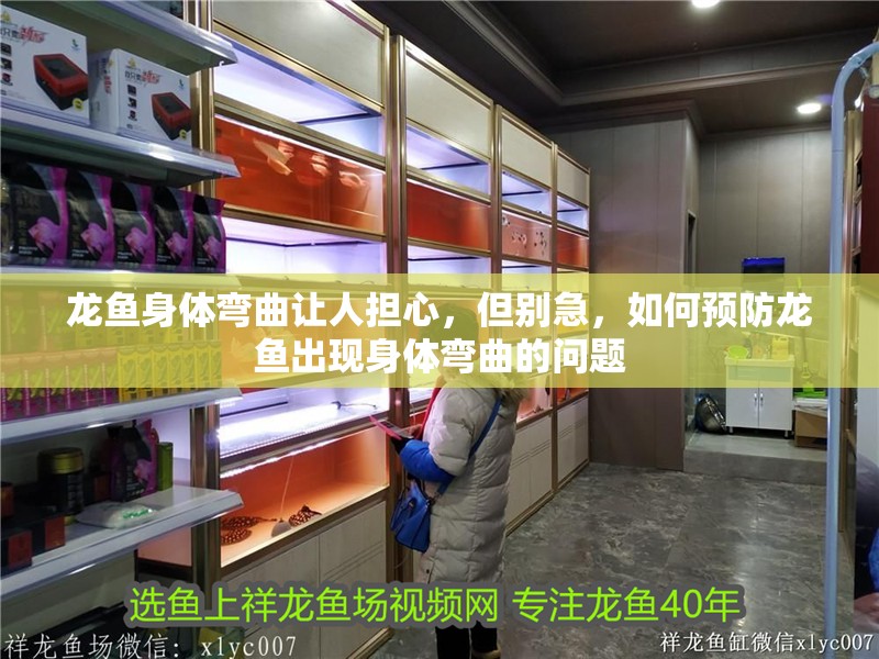 龍魚身體彎曲讓人擔(dān)心，但別急，如何預(yù)防龍魚出現(xiàn)身體彎曲的問題