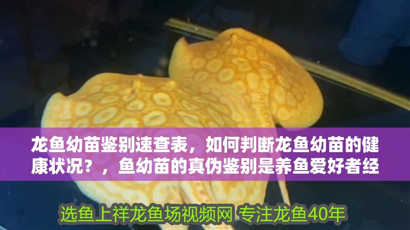 龍魚幼苗鑒別速查表，如何判斷龍魚幼苗的健康狀況？，魚幼苗的真偽鑒別是養魚愛好者經常面臨的一個問題