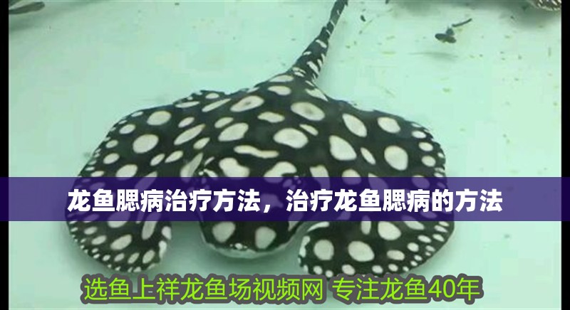 龍魚腮病治療方法，治療龍魚腮病的方法