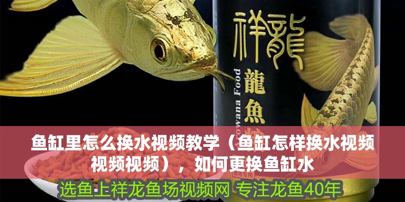 魚缸里怎么換水視頻教學（魚缸怎樣換水視頻視頻視頻），如何更換魚缸水