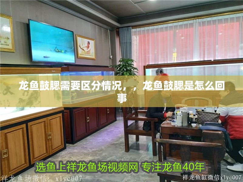 龍魚鼓腮需要區分情況，，龍魚鼓腮是怎么回事