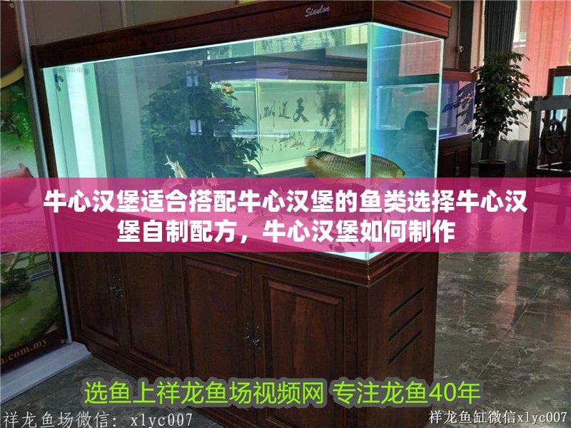 牛心漢堡適合搭配牛心漢堡的魚類選擇牛心漢堡自制配方，牛心漢堡如何制作
