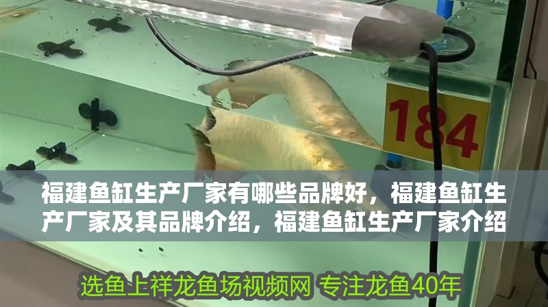 福建魚缸生產(chǎn)廠家有哪些品牌好，福建魚缸生產(chǎn)廠家及其品牌介紹，福建魚缸生產(chǎn)廠家介紹 福建魚缸生產(chǎn)廠家有哪些品牌好，福建魚缸生產(chǎn)廠家及其品牌介紹，福建魚缸生產(chǎn)廠家介紹 觀賞魚百科 第2張