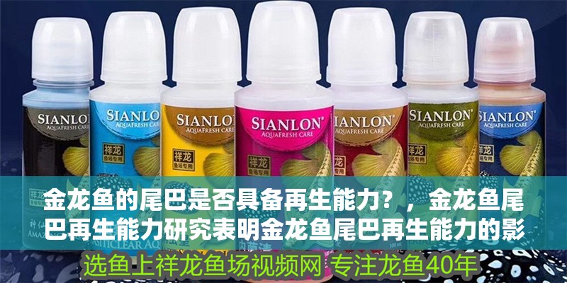 金龍魚的尾巴是否具備再生能力？，金龍魚尾巴再生能力研究表明金龍魚尾巴再生能力的影響