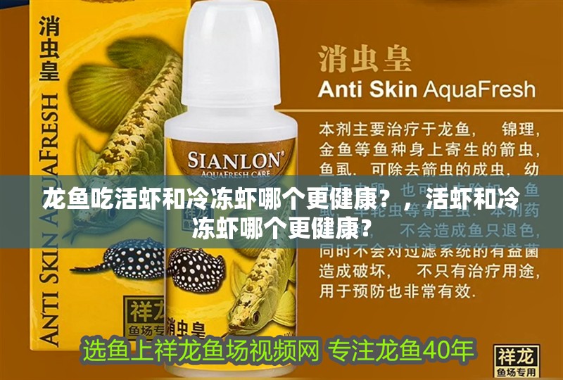 龍魚吃活蝦和冷凍蝦哪個更健康？，活蝦和冷凍蝦哪個更健康？ 龍魚吃活蝦和冷凍蝦哪個更健康？，活蝦和冷凍蝦哪個更健康？ 龍魚百科 第3張