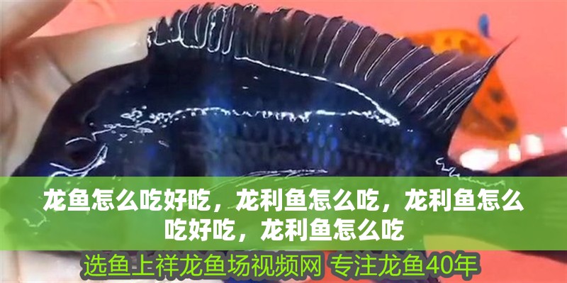 龍魚怎么吃好吃，龍利魚怎么吃，龍利魚怎么吃好吃，龍利魚怎么吃