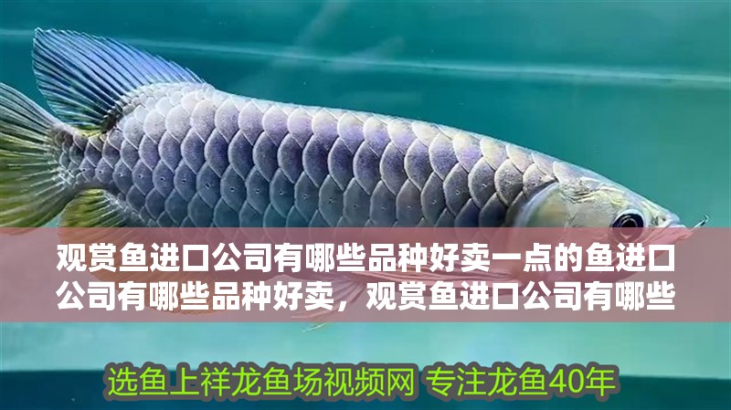觀賞魚進口公司有哪些品種好賣一點的魚進口公司有哪些品種好賣，觀賞魚進口公司有哪些品種好賣一點的觀賞魚？