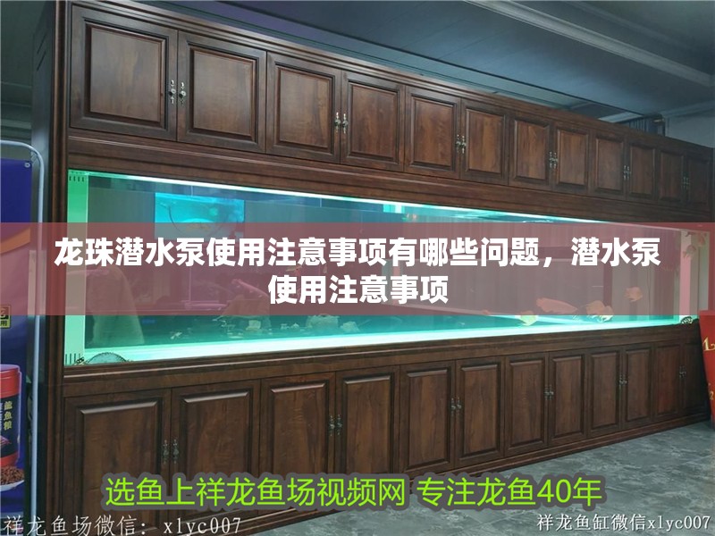 龍珠潛水泵使用注意事項有哪些問題，潛水泵使用注意事項