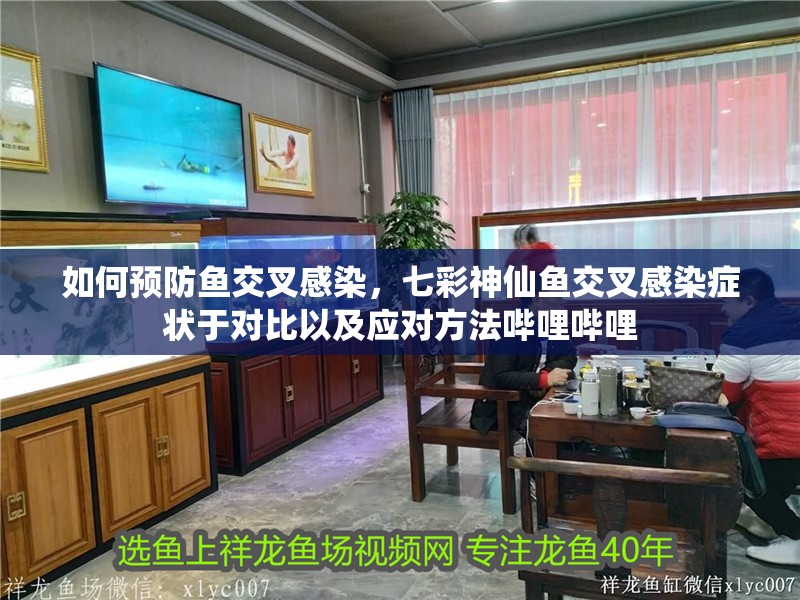如何預(yù)防魚交叉感染，七彩神仙魚交叉感染癥狀于對比以及應(yīng)對方法嗶哩嗶哩