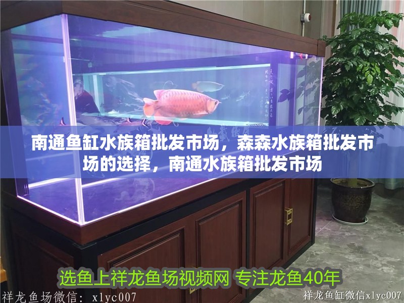 南通魚缸水族箱批發市場，森森水族箱批發市場的選擇，南通水族箱批發市場