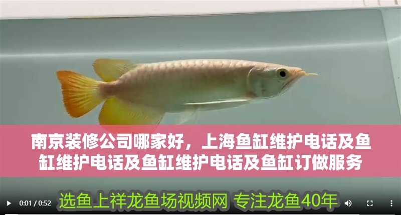 <strong><mark>南京</mark></strong>裝修公司哪家好，上海魚缸維護電話及魚缸維護電話及魚缸維護電話及魚缸訂做服務