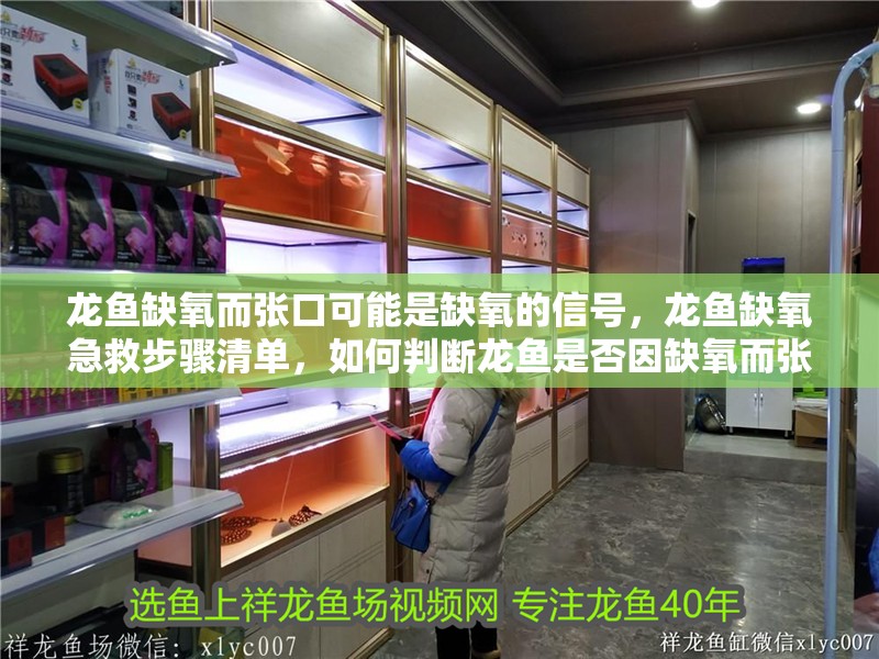 龍魚缺氧而張口可能是缺氧的信號，龍魚缺氧急救步驟清單，如何判斷龍魚是否因缺氧而張口