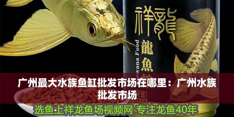 廣州最大水族魚缸批發(fā)市場在哪里：廣州水族批發(fā)市場