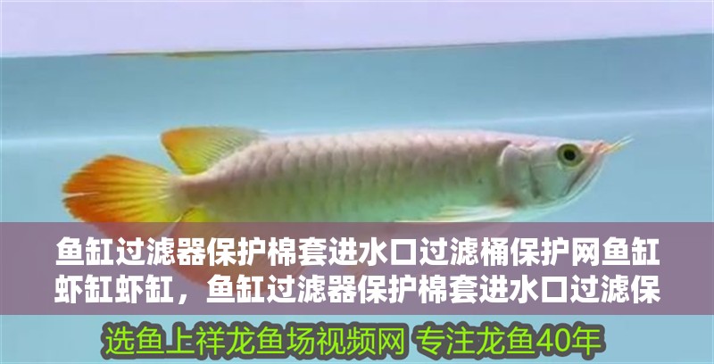 魚缸過濾器保護(hù)棉套進(jìn)水口過濾桶保護(hù)網(wǎng)魚缸蝦缸蝦缸，魚缸過濾器保護(hù)棉套進(jìn)水口過濾保護(hù)網(wǎng)保護(hù)網(wǎng)魚缸過濾器保護(hù)棉套