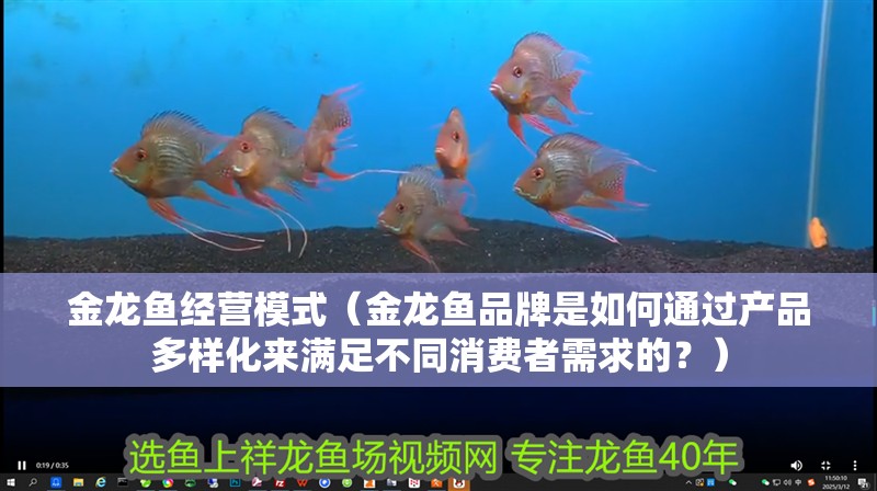 金龍魚經營模式（金龍魚品牌是如何通過產品多樣化來滿足不同消費者需求的？）