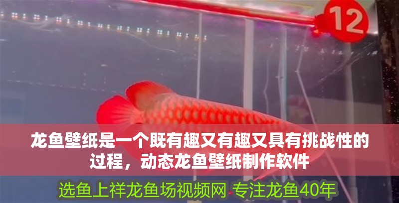 龍魚壁紙是一個既有趣又有趣又具有挑戰性的過程，動態龍魚壁紙制作軟件