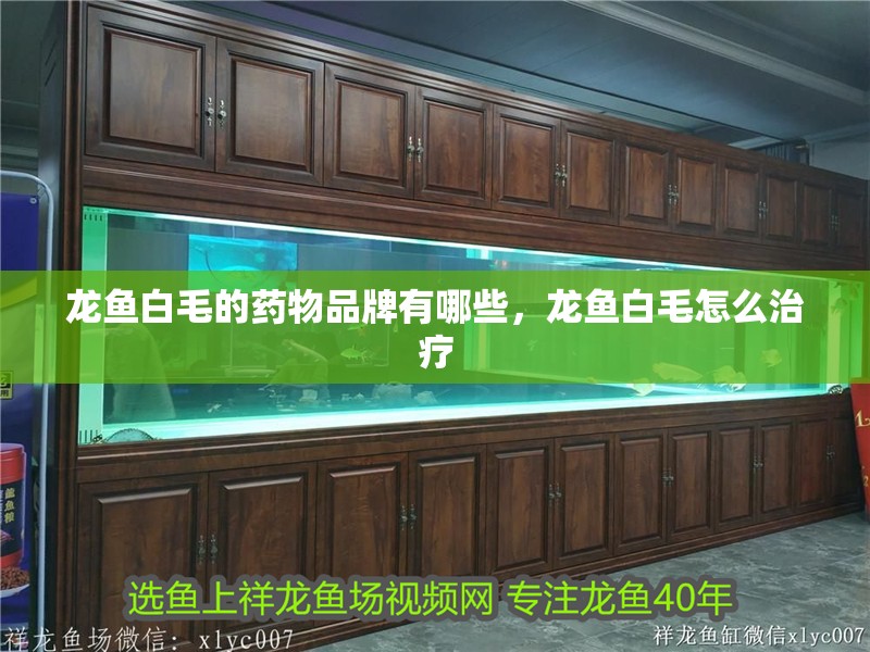 龍魚白毛的藥物品牌有哪些，龍魚白毛怎么治療