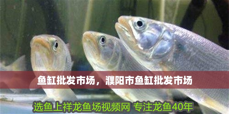 魚缸批發市場，濮陽市魚缸批發市場