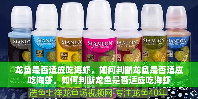 龍魚是否適應吃海蝦，如何判斷龍魚是否適應吃海蝦，如何判斷龍魚是否適應吃海蝦