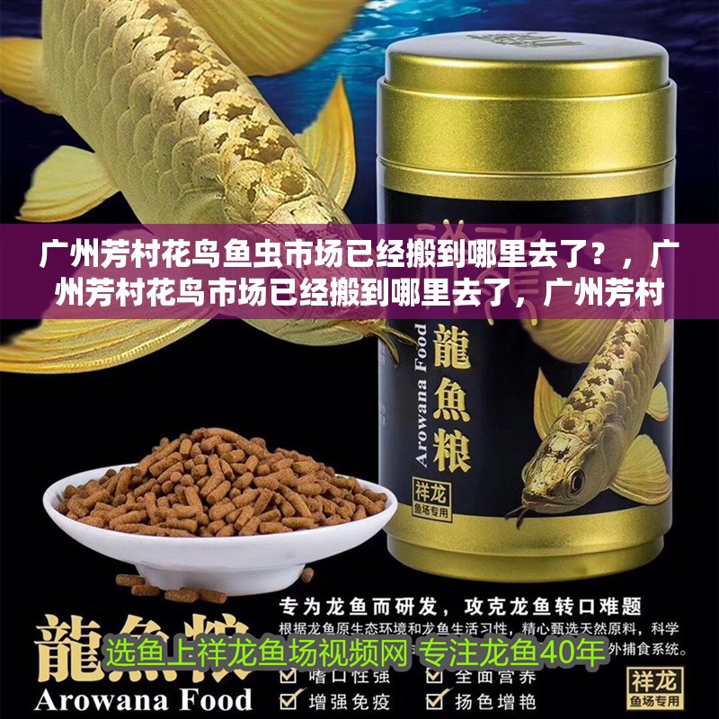 廣州芳村花鳥魚蟲市場已經搬到哪里去了？，廣州芳村花鳥市場已經搬到哪里去了，廣州芳村花鳥市場已經搬到哪里了