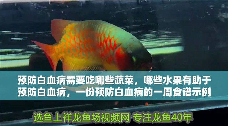 預防白血病需要吃哪些蔬菜，哪些水果有助于預防白血病，一份預防白血病的一周食譜示例