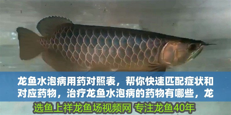 龍魚水泡病用藥對照表，幫你快速匹配癥狀和對應藥物，治療龍魚水泡病的藥物有哪些，龍魚水泡病用藥對照表