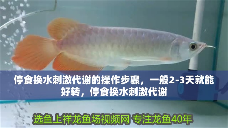 停食換水刺激代謝的操作步驟，一般2-3天就能好轉(zhuǎn)，停食換水刺激代謝