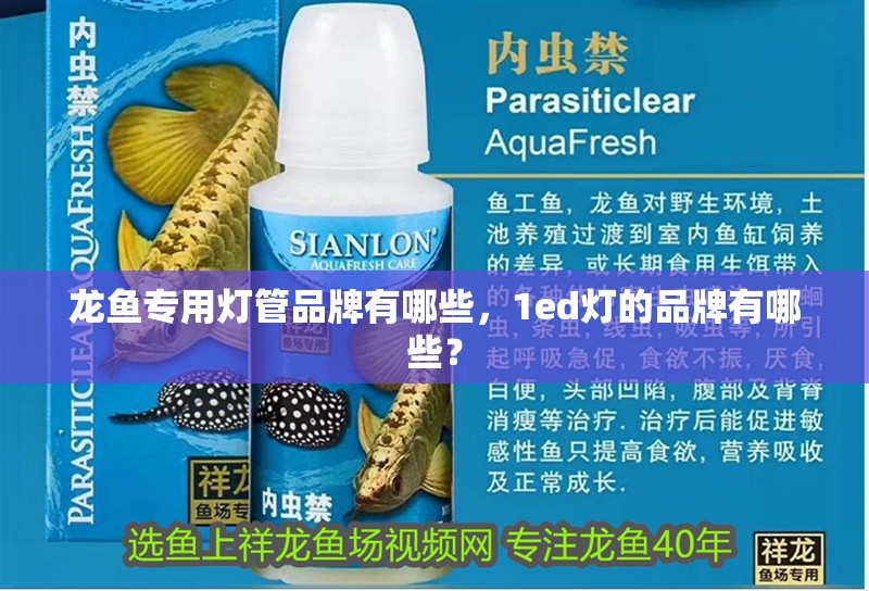 龍魚專用燈管品牌有哪些，1ed燈的品牌有哪些？