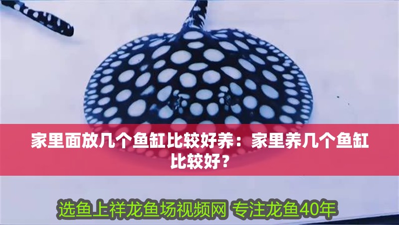 家里面放幾個魚缸比較好養：家里養幾個魚缸比較好？