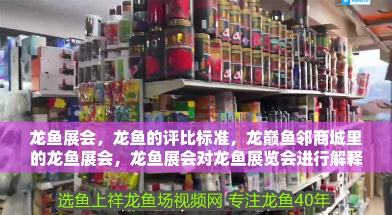 龍魚展會，龍魚的評比標準，龍巔魚鄰商城里的龍魚展會，龍魚展會對龍魚展覽會進行解釋