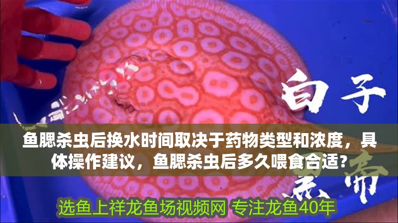 魚腮殺蟲后換水時間取決于藥物類型和濃度，具體操作建議，魚腮殺蟲后多久喂食合適？