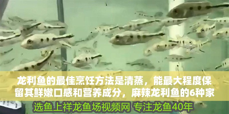 龍利魚的最佳烹飪方法是清蒸，能最大程度保留其鮮嫩口感和營養成分，麻辣龍利魚的6種家常做法，外酥里嫩家人都愛吃