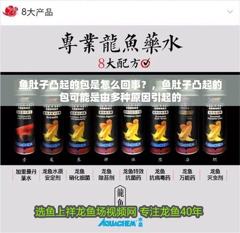 魚(yú)肚子凸起的包是怎么回事？，魚(yú)肚子凸起的包可能是由多種原因引起的