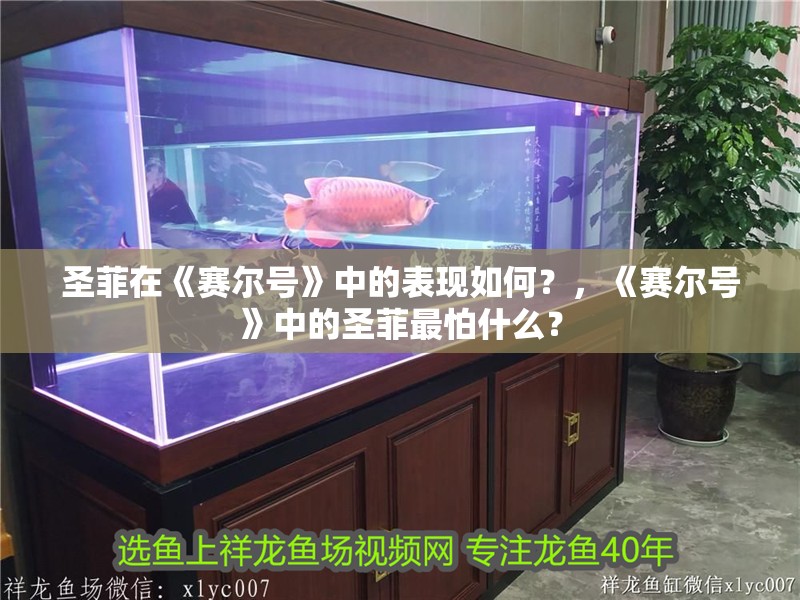 圣菲在《賽爾號》中的表現(xiàn)如何？，《賽爾號》中的圣菲最怕什么？