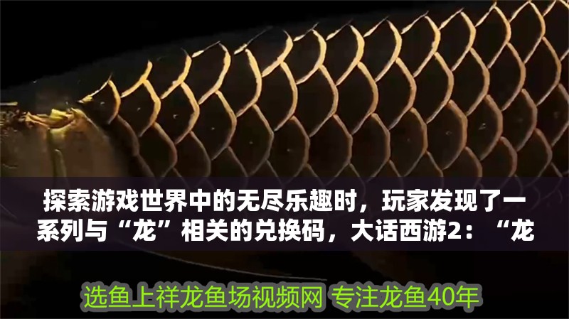 探索游戲世界中的無盡樂趣時(shí)，玩家發(fā)現(xiàn)了一系列與“龍”相關(guān)的兌換碼，大話西游2：“龍”主題的兌換碼，近期有效