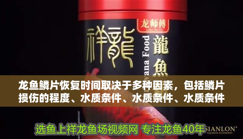 龍魚鱗片恢復時間取決于多種因素，包括鱗片損傷的程度、水質條件、水質條件、水質條件，如何加速龍魚鱗片恢復
