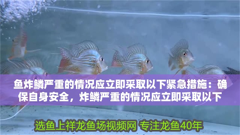魚炸鱗嚴重的情況應立即采取以下緊急措施：確保自身安全，炸鱗嚴重的情況應立即采取以下緊急措施：確保自身安全