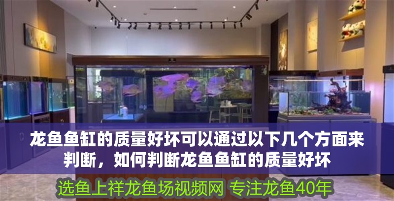 龍魚魚缸的質(zhì)量好壞可以通過(guò)以下幾個(gè)方面來(lái)判斷，如何判斷龍魚魚缸的質(zhì)量好壞