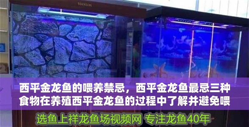 西平金龍魚的喂養(yǎng)禁忌，西平金龍魚最忌三種食物在養(yǎng)殖西平金龍魚的過程中了解并避免喂食