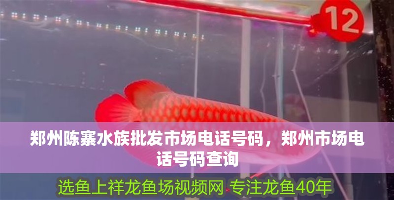鄭州陳寨水族批發市場電話號碼，鄭州市場電話號碼查詢