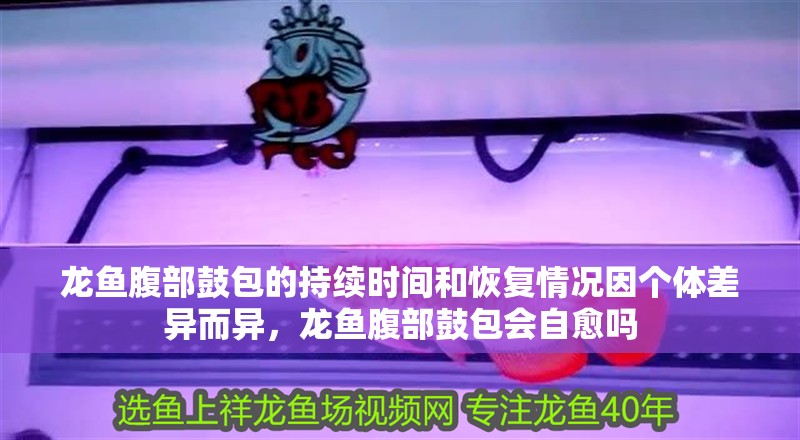 龍魚(yú)腹部鼓包的持續(xù)時(shí)間和恢復(fù)情況因個(gè)體差異而異，龍魚(yú)腹部鼓包會(huì)自愈嗎