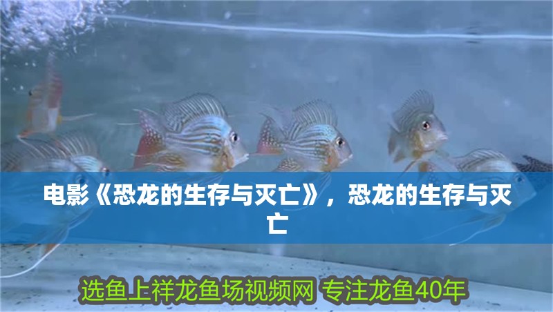 電影《恐龍的生存與滅亡》，恐龍的生存與滅亡