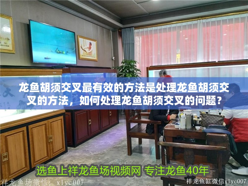 龍魚胡須交叉最有效的方法是處理龍魚胡須交叉的方法，如何處理龍魚胡須交叉的問題？