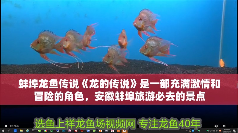 蚌埠龍魚傳說《龍的傳說》是一部充滿激情和冒險的角色，安徽蚌埠旅游必去的景點