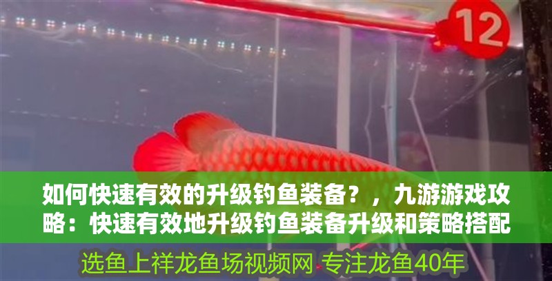 如何快速有效的升級釣魚裝備？，九游游戲攻略：快速有效地升級釣魚裝備升級和策略搭配