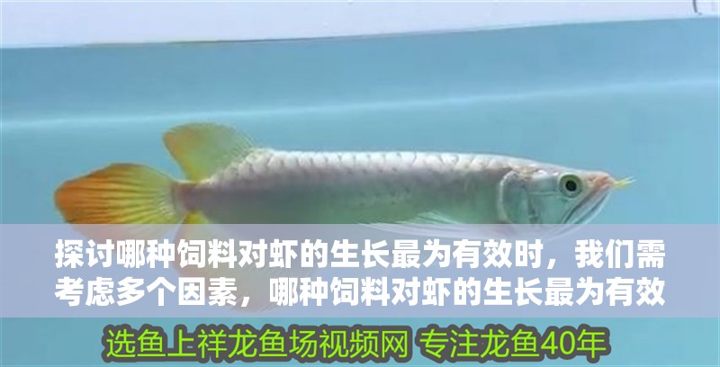 探討哪種飼料對蝦的生長最為有效時，我們需考慮多個因素，哪種飼料對蝦的生長最為有效？