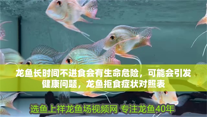 龍魚長時間不進食會有生命危險，可能會引發健康問題，龍魚拒食癥狀對照表