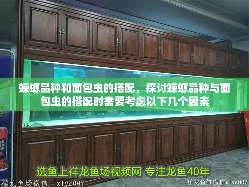 蠑螈品種和面包蟲的搭配，探討蠑螈品種與面包蟲的搭配時需要考慮以下幾個因素